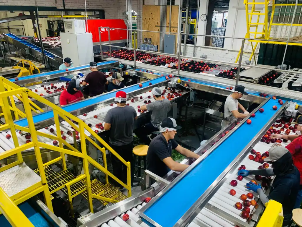 上海地区日用百货批发采购指南：家居与办公用品选品要点解析