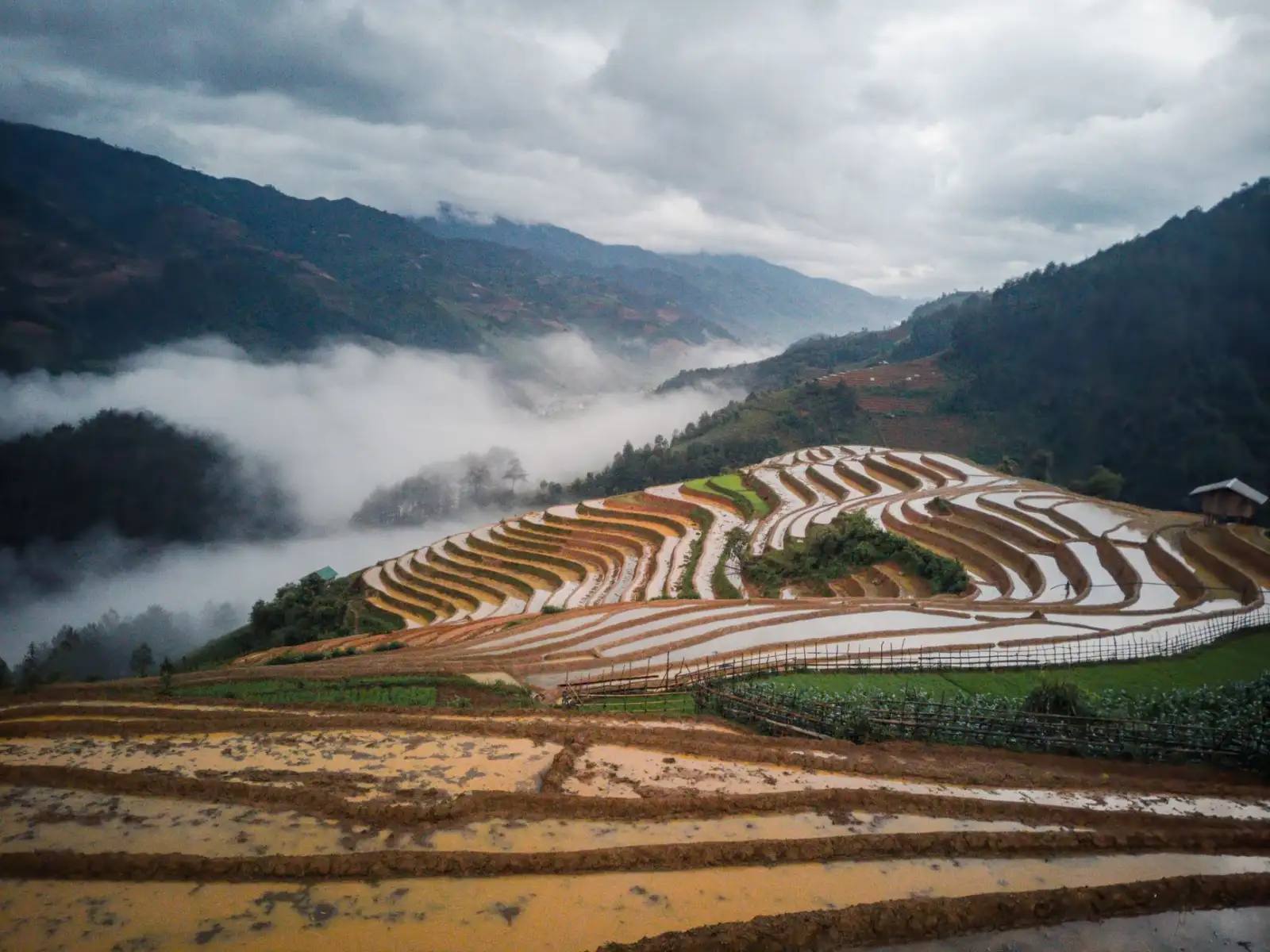 上海企业采购保温杯与餐具的批量供应方案解析